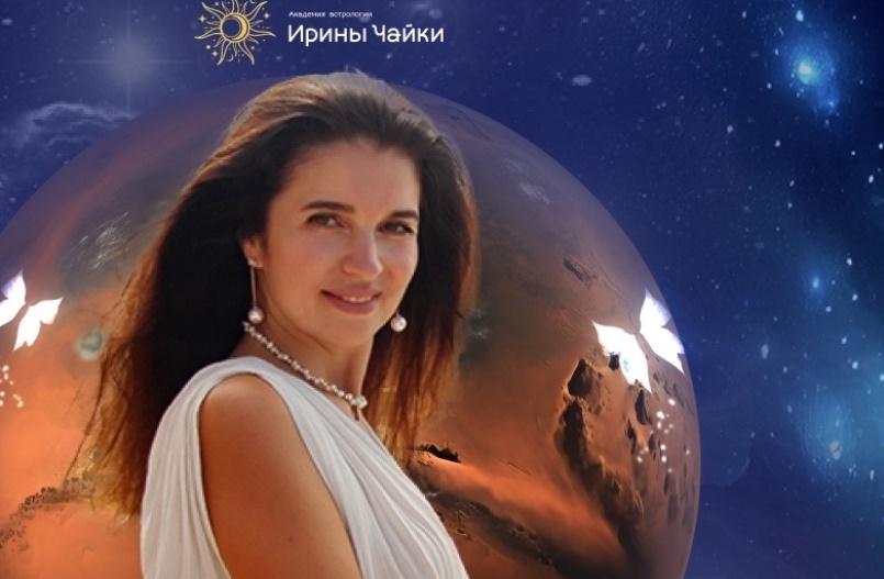 Чайка успех обучения