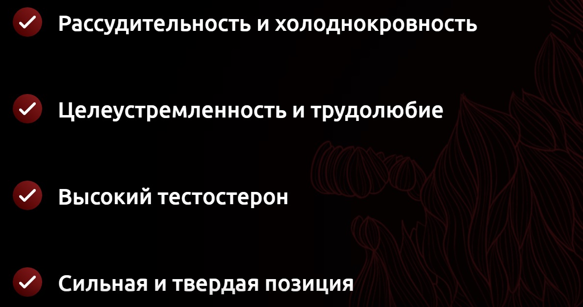 Лазба принципы курса2